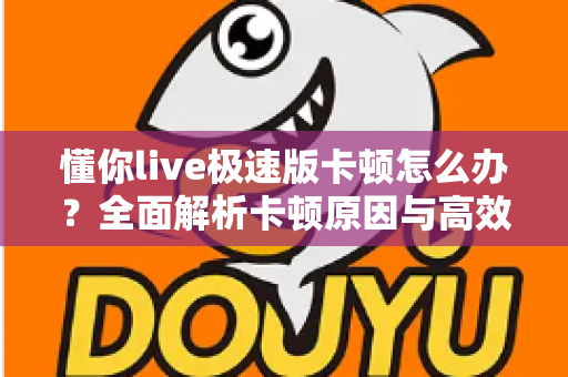 懂你live极速版卡顿怎么办？全面解析卡顿原因与高效解决技巧