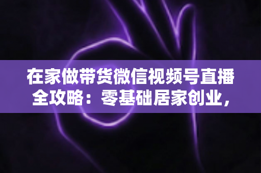在家做带货微信视频号直播全攻略：零基础居家创业，一部手机开启副业变现之路