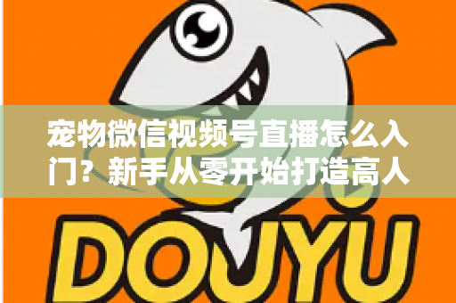 宠物微信视频号直播怎么入门？新手从零开始打造高人气宠物直播间的完整攻略