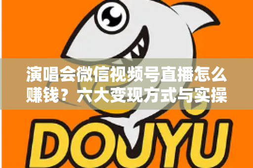 演唱会微信视频号直播怎么赚钱？六大变现方式与实操指南全面解析
