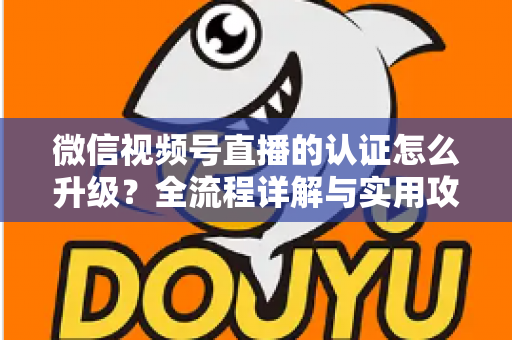 微信视频号直播的认证怎么升级？全流程详解与实用攻略，助你快速解锁更高直播权限