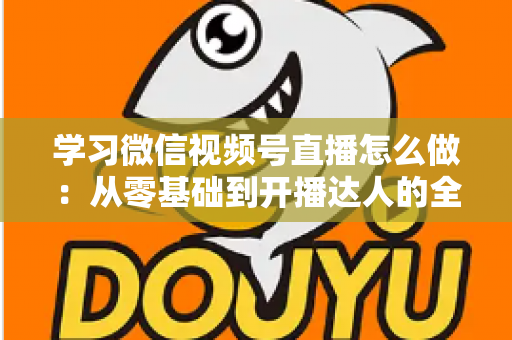 学习微信视频号直播怎么做:从零基础到开播达人的全流程实战指南 学习微信视频号直播怎么做:从零基础到开播达人的全流程实战指南