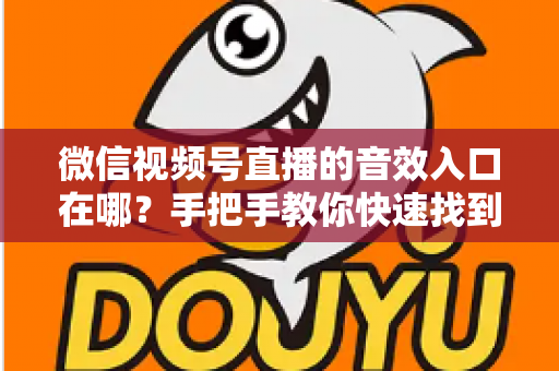 微信视频号直播的音效入口在哪?手把手教你快速找到音效功能,轻松打造高人气直播间 微信视频号直播的音效入口在哪?手把手教你快速找到音效功能,轻松打造高人气直播间