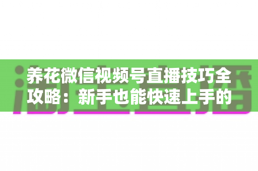 养花微信视频号直播技巧全攻略：新手也能快速上手的实战指南