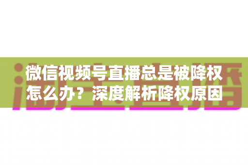 微信视频号直播总是被降权怎么办？深度解析降权原因与快速恢复流量的实战全攻略