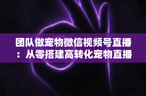 团队做宠物微信视频号直播:从零搭建高转化宠物直播间的完整实战指南 团队做宠物微信视频号直播:从零搭建高转化宠物直播间的完整实战指南