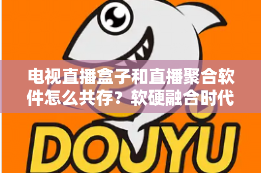 电视直播盒子和直播聚合软件怎么共存？软硬融合时代的大屏观看生态全解析