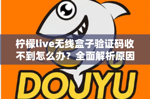 柠檬live无线盒子验证码收不到怎么办？全面解析原因与高效解决方法指南